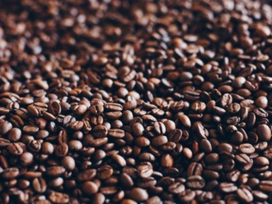 Día Internacional del Café: Colombia es el productor del café más suave del mundo